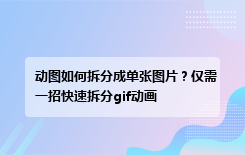 动图如何拆分成单张图片？仅需一招快速拆分gif动画