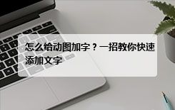 怎么给动图加字？一招教你快速添加文字