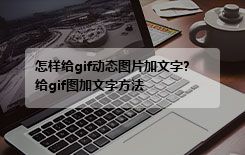 怎样给gif动态图片加文字?给gif图加文字方法