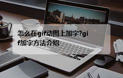 怎么在gif动图上加字?gif加字方法介绍