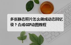 多张静态照片怎么做成动态回忆录？合成GIF动图教程