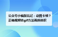 公众号小编踩坑记：动图卡顿？正确视频转gif方法画质体积兼得