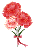 动态花朵康乃馨图片图标母亲节