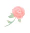 粉色情人节玫瑰花动态图标