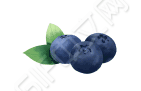 水果蓝莓动态分割线