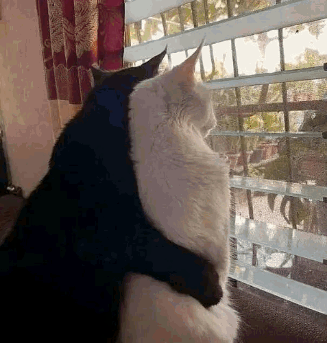628d97c22ddd7.gif