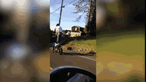 629d7bf1ca62d.gif