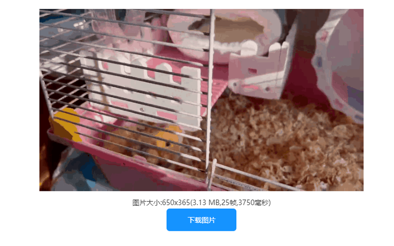 怎么改变动图的大小？教你一键在线改gif大小/