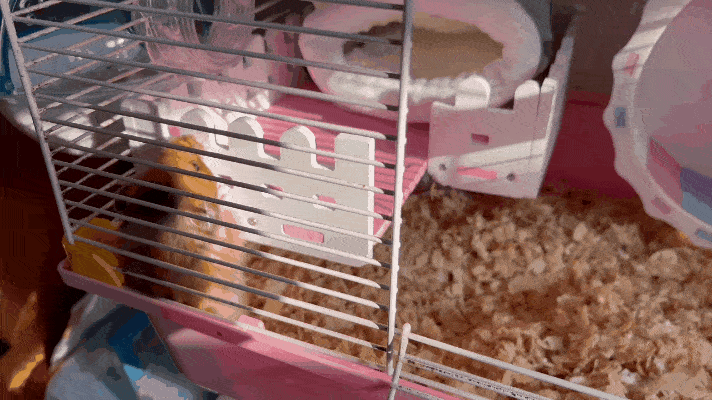 631eadfd09b3b.gif