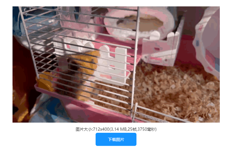 怎样将gif动图倒放？教你一键快速倒放gif动图/