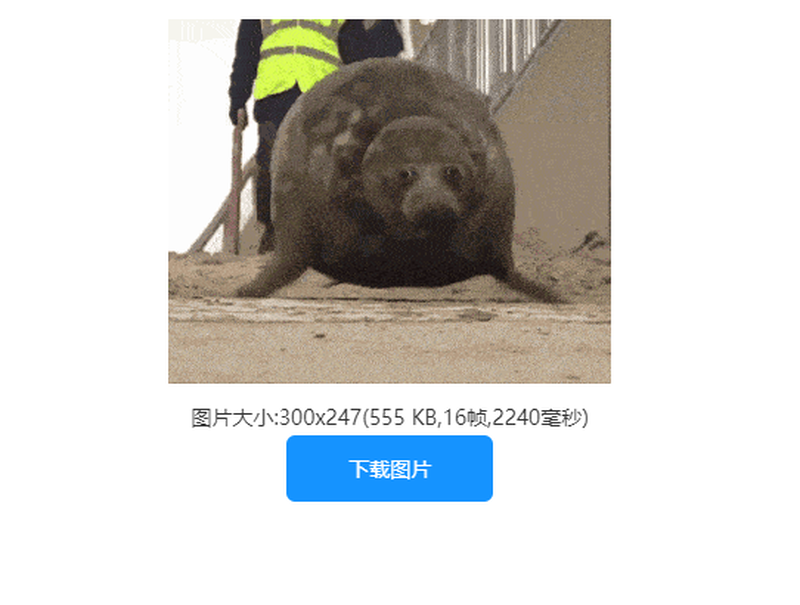 如何倒放gif？一键教你在线倒放gif动图/